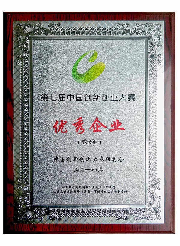 創(chuàng)新大賽全國總決賽優(yōu)秀企業(yè)獎(jiǎng)